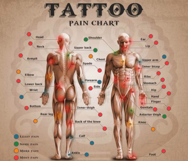 Tattoo Pain Level Breakdown