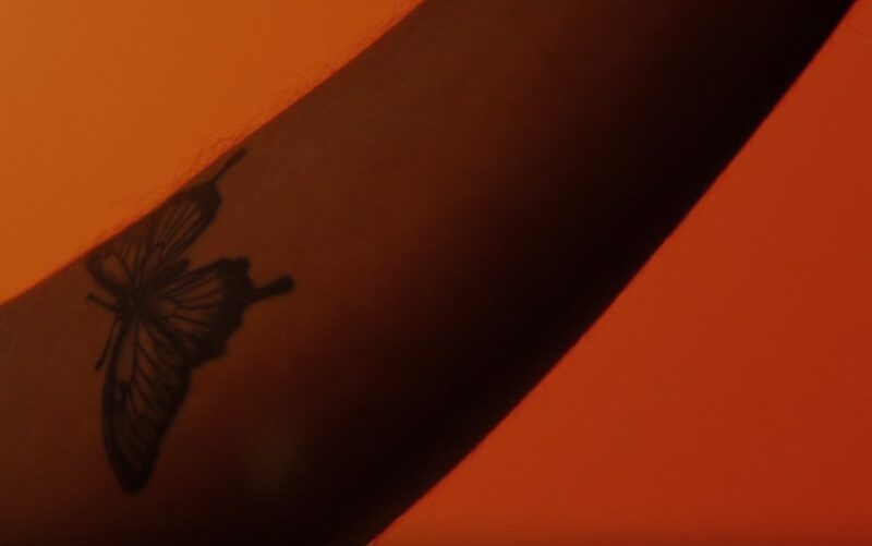 Butterfly tattoo