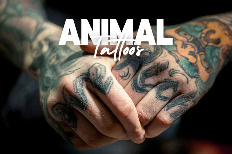 Reasons for Getting an Animal Tattoo