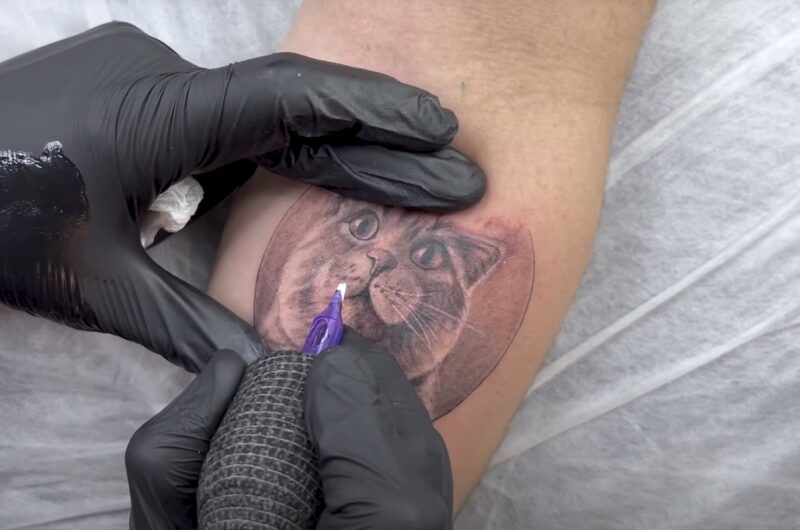 cat tattoo