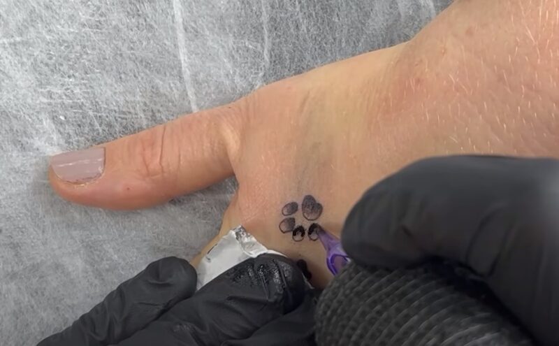 paw tattoo
